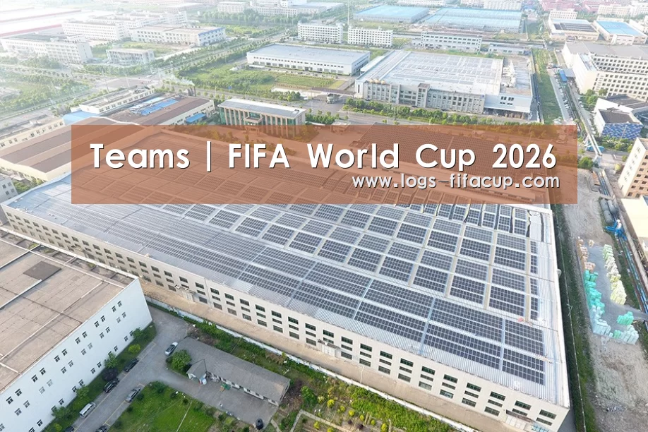 案例展示二